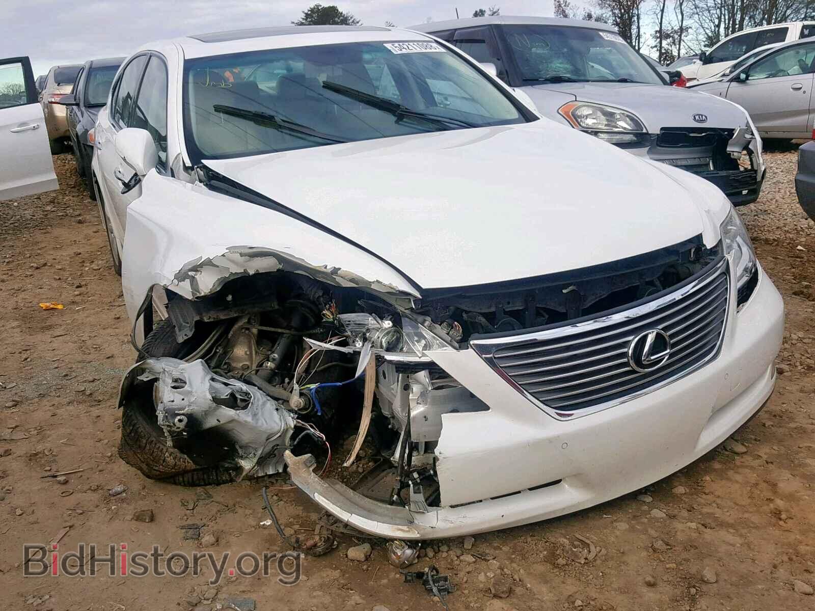 Фотография JTHBL46F085080268 - LEXUS LS460 2008