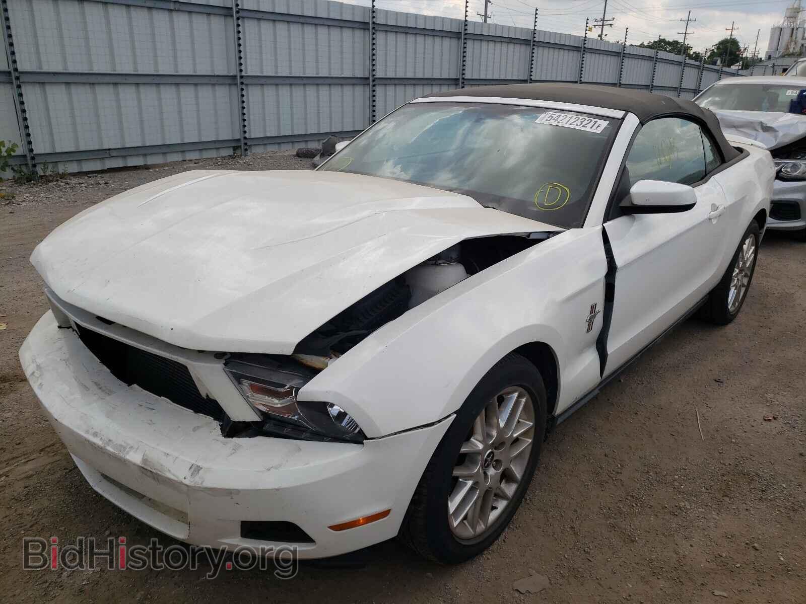 2012 FORD MUSTANG - VIN: 1ZVBP8EM1C5236272 - Фото 2