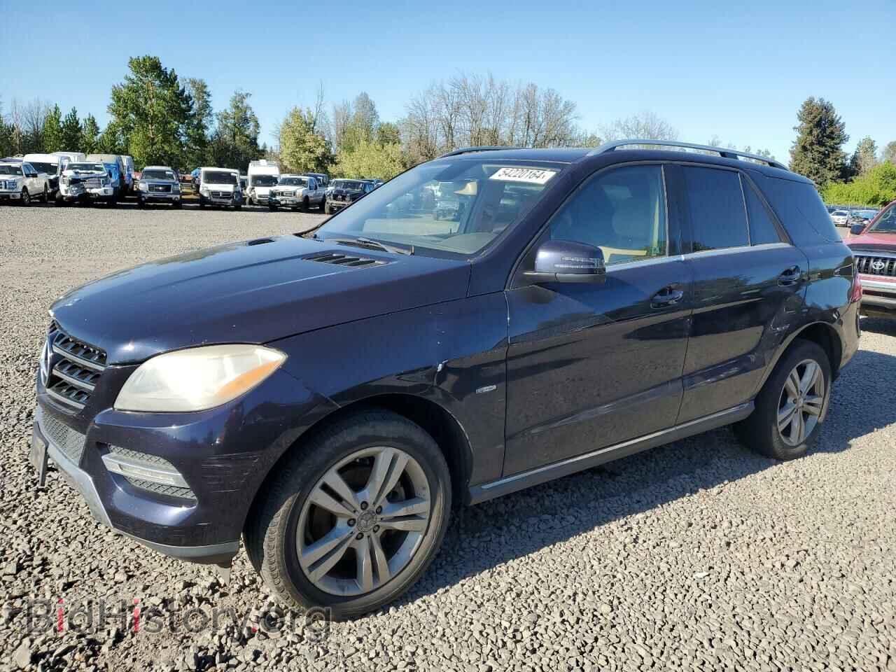 Photo 4JGDA5HB3CA001994 - MERCEDES-BENZ M-CLASS 2012