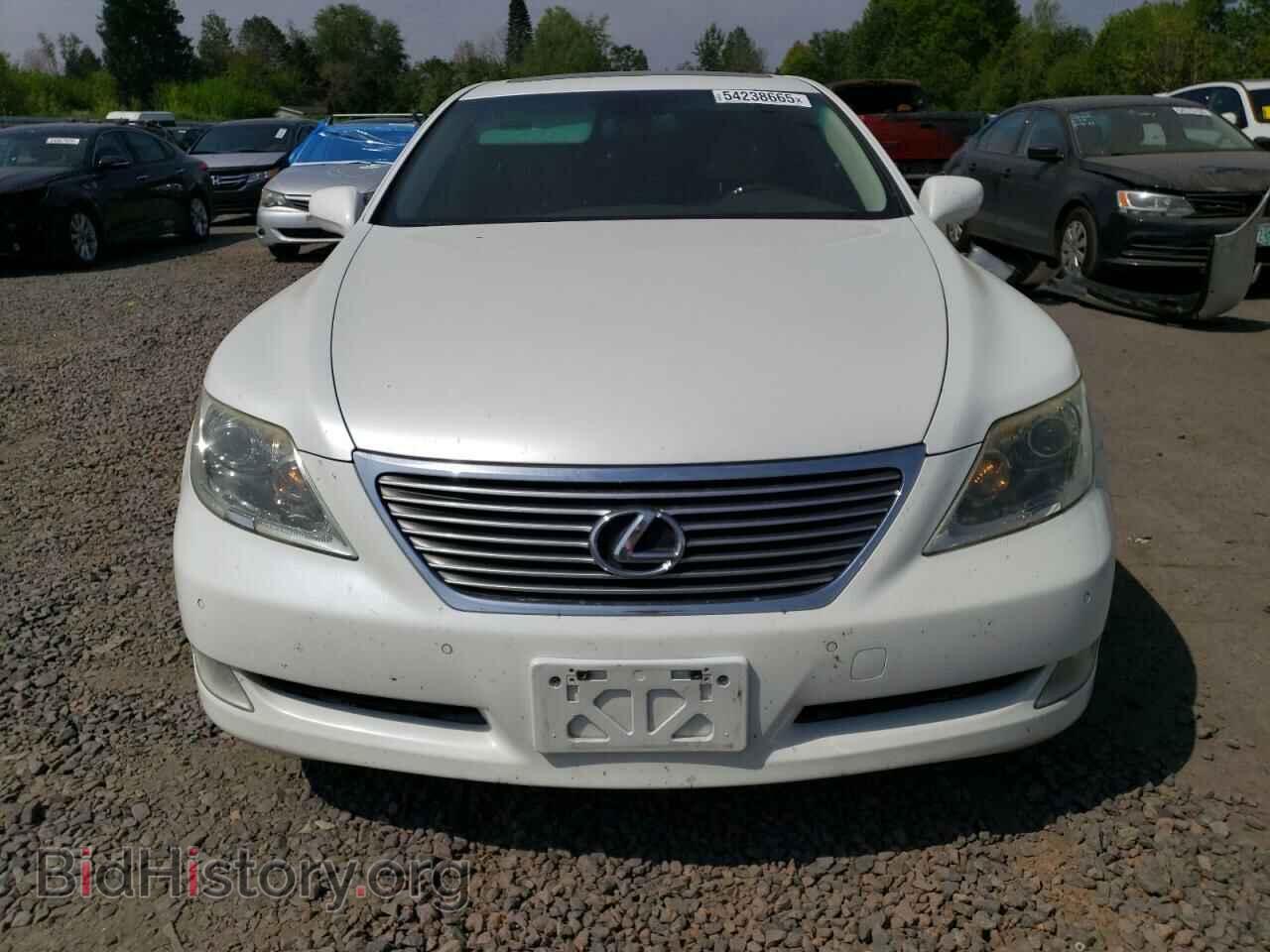 2008 LEXUS LS460 - VIN: JTHBL46F085072638 - Photo 5