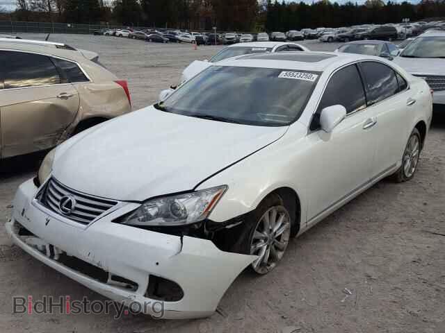 2010 LEXUS ES350 - VIN: JTHBK1EG2A2360342 - Фото 2