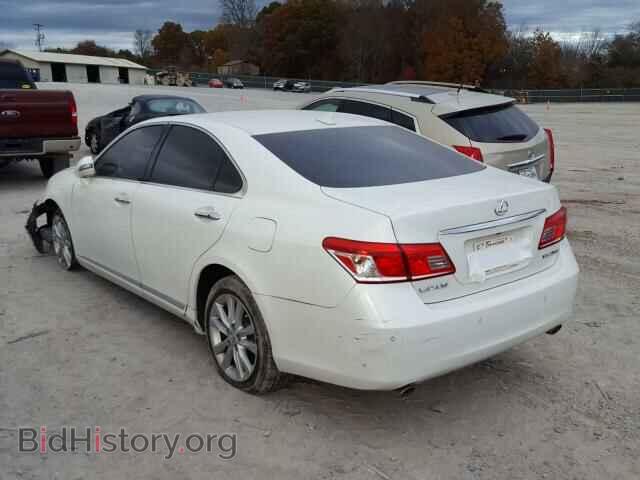 2010 LEXUS ES350 - VIN: JTHBK1EG2A2360342 - Фото 3