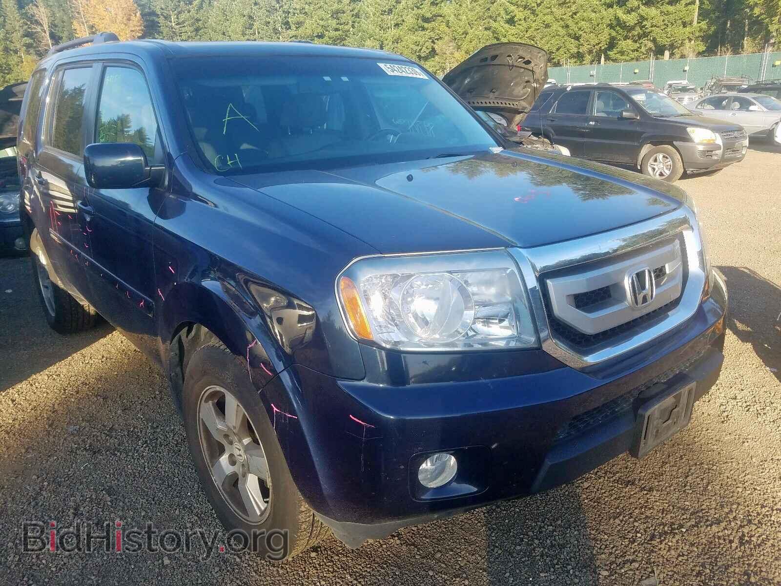 Фотография 5FNYF4H52BB007156 - HONDA PILOT 2011