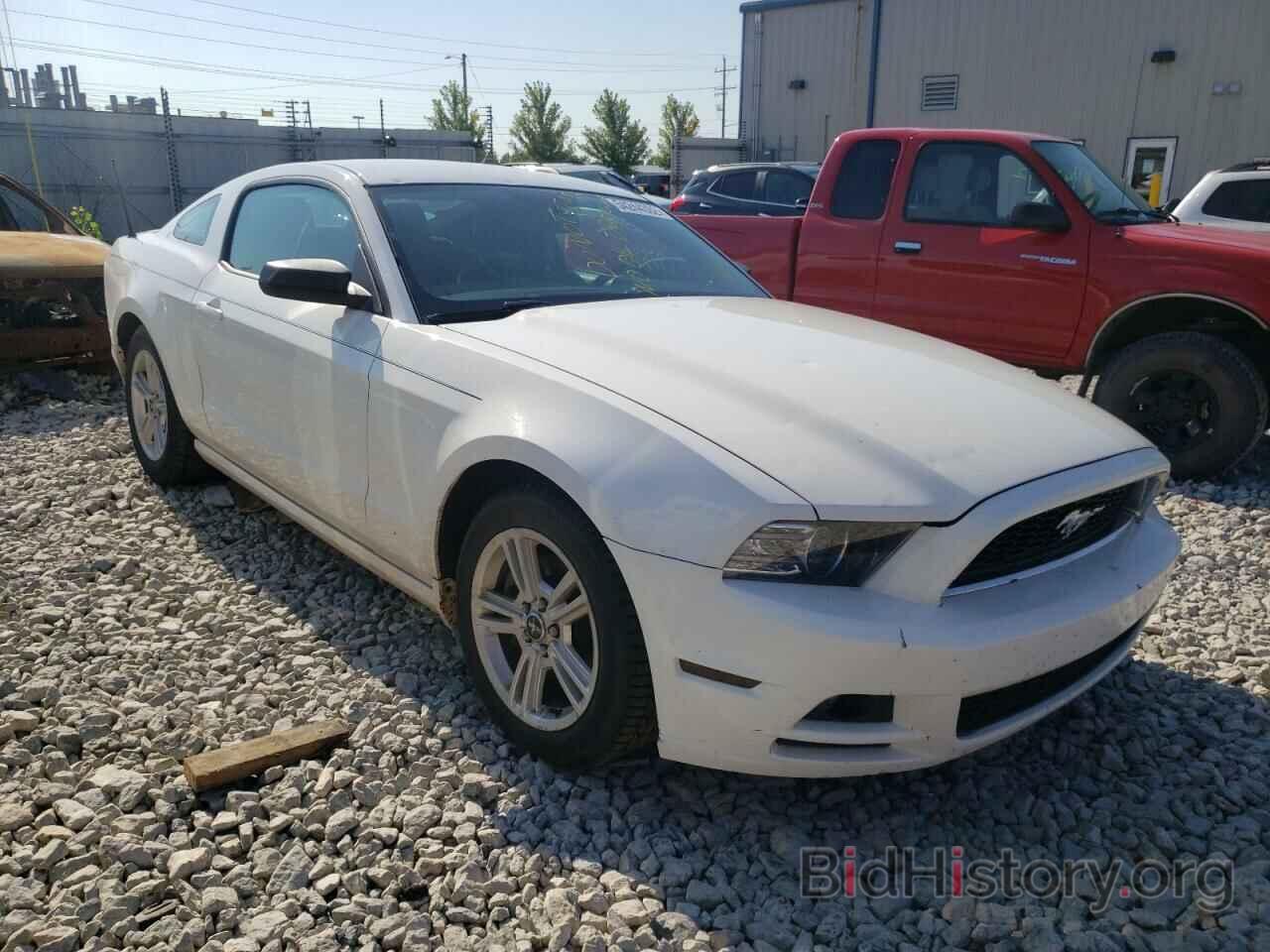 Photo 1ZVBP8AM7D5269025 - FORD MUSTANG 2013