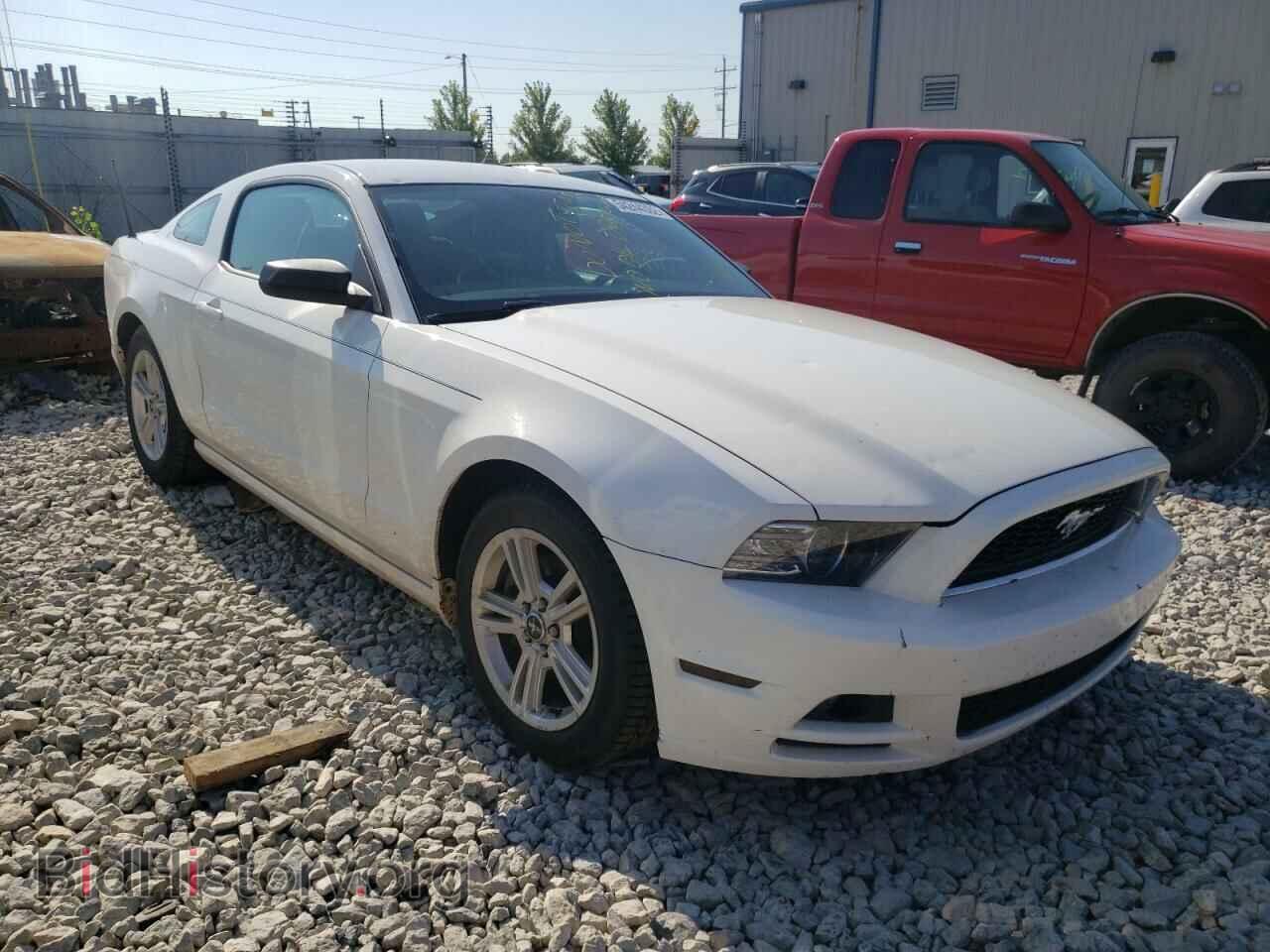 Фотография 1ZVBP8AM7D5269025 - FORD MUSTANG 2013