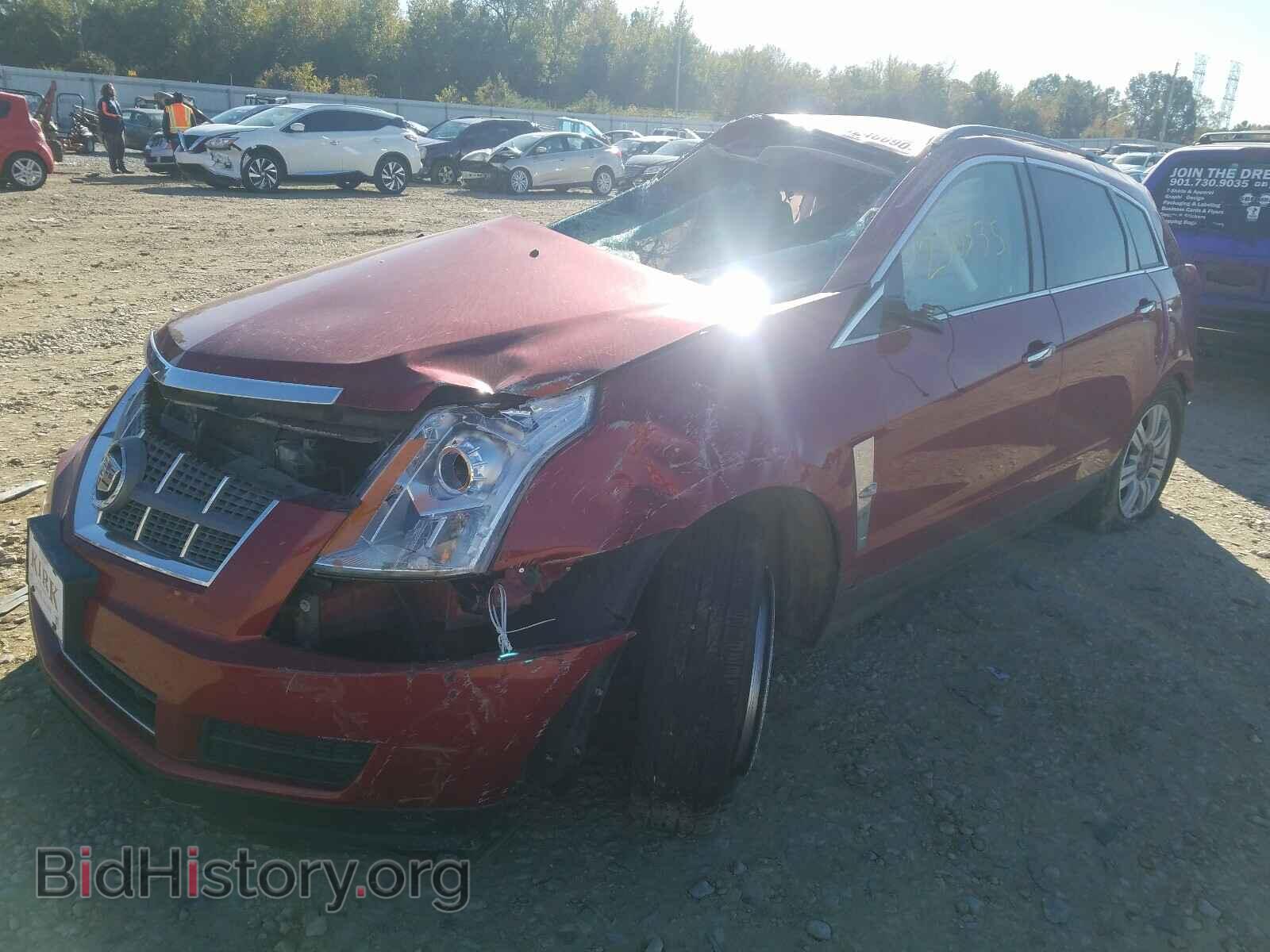 2011 CADILLAC SRX - VIN: 3GYFNGEY3BS599596 - Фото 2