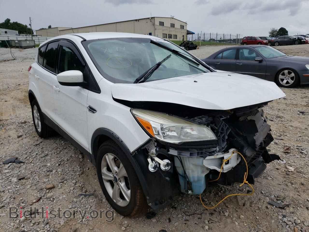 Фотография 1FMCU0GX0EUB76207 - FORD ESCAPE 2014
