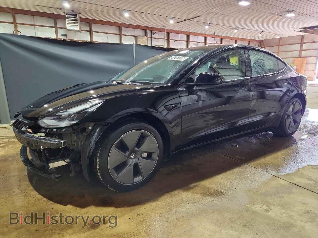 Photo 5YJ3E1EA4PF447531 - TESLA MODEL 3 2023