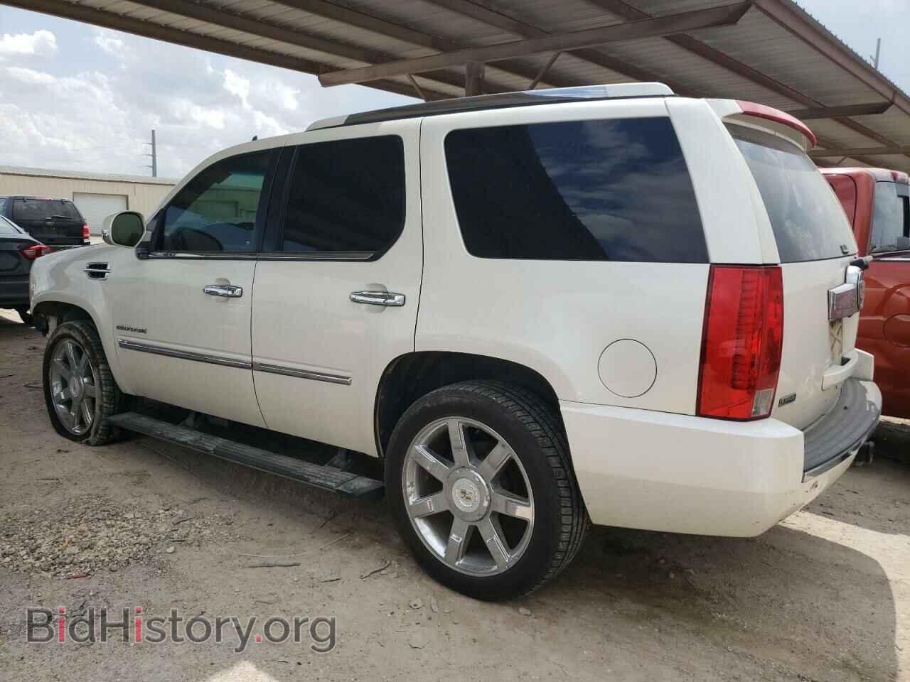 2011 CADILLAC ESCALADE - VIN: 1GYS4CEF1BR367591 - Фото 2