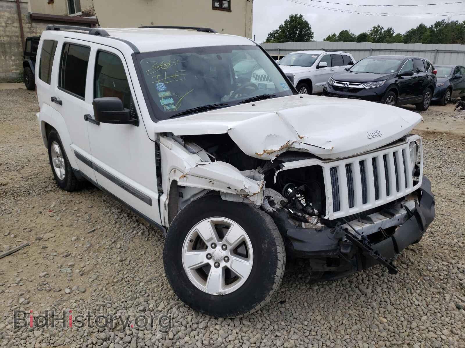 Фотография 1J4PN2GK4BW566353 - JEEP LIBERTY 2011