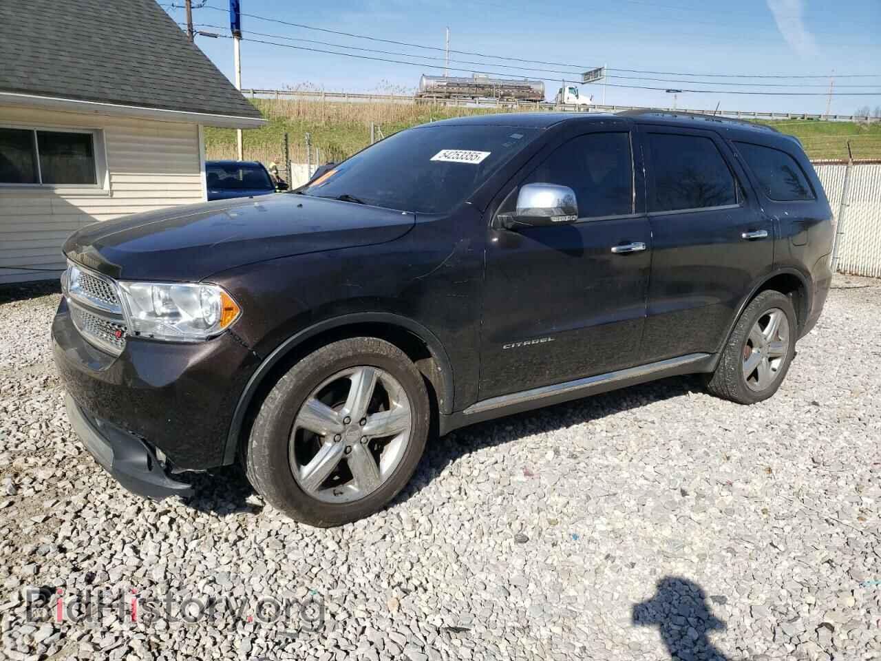 Photo 1C4SDJET3DC580127 - DODGE DURANGO 2013