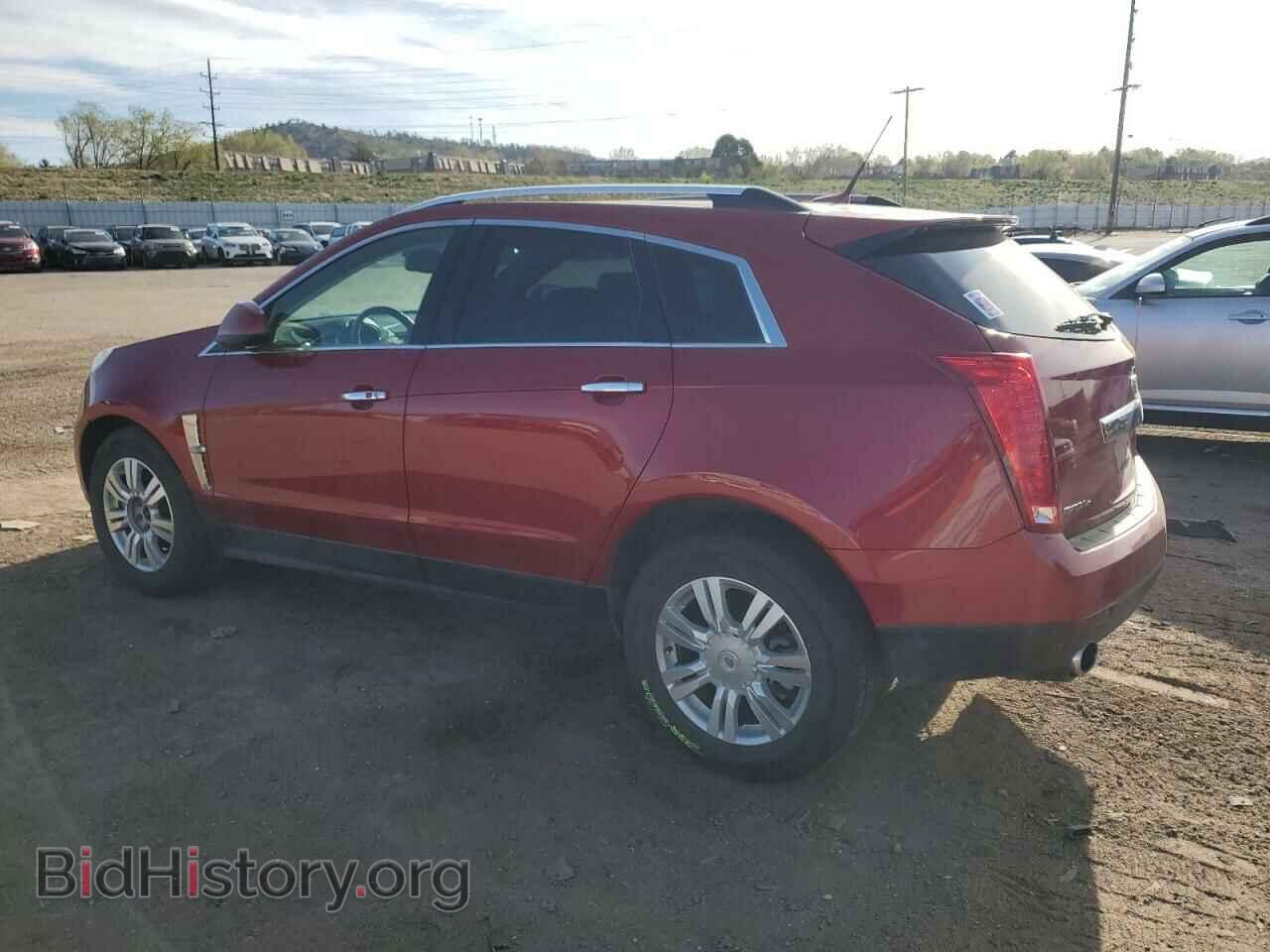 2011 CADILLAC SRX - VIN: 3GYFNDEY7BS599082 - Фото 2