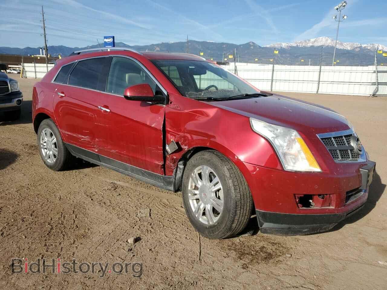 2011 CADILLAC SRX - VIN: 3GYFNDEY7BS599082 - Фото 4