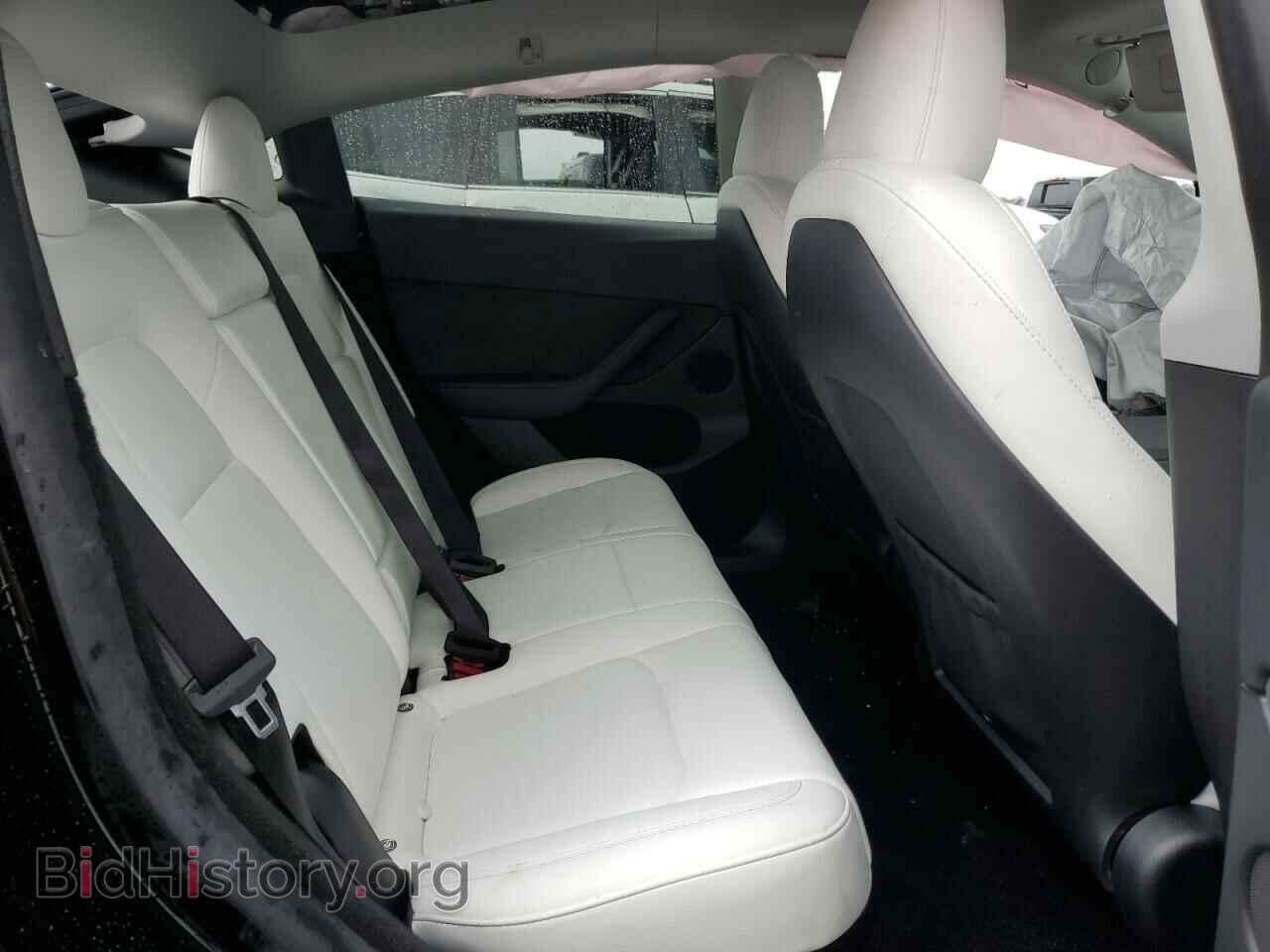 2024 TESLA MODEL Y - VIN: 7SAYGDED7RF018059 - Фото 10