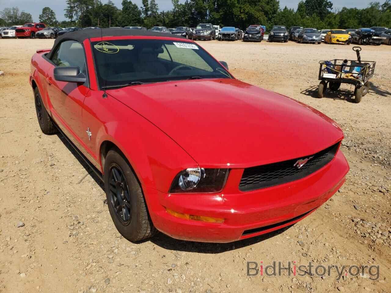 Photo 1ZVFT84N965103108 - FORD MUSTANG 2006