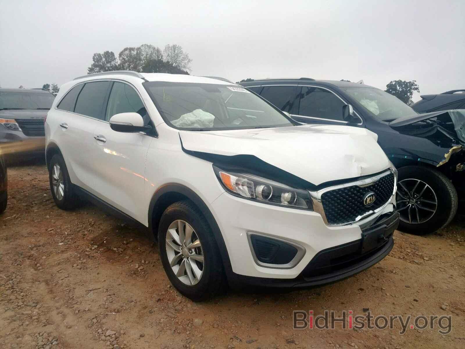 Photo 5XYPG4A5XGG137429 - KIA SORENTO LX 2016