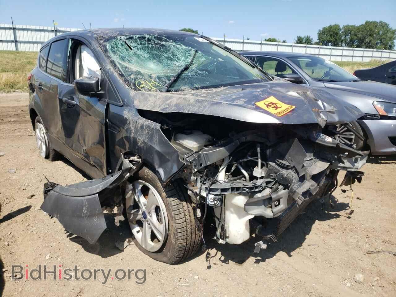 Фотография 1FMCU0GX4EUD09745 - FORD ESCAPE 2014