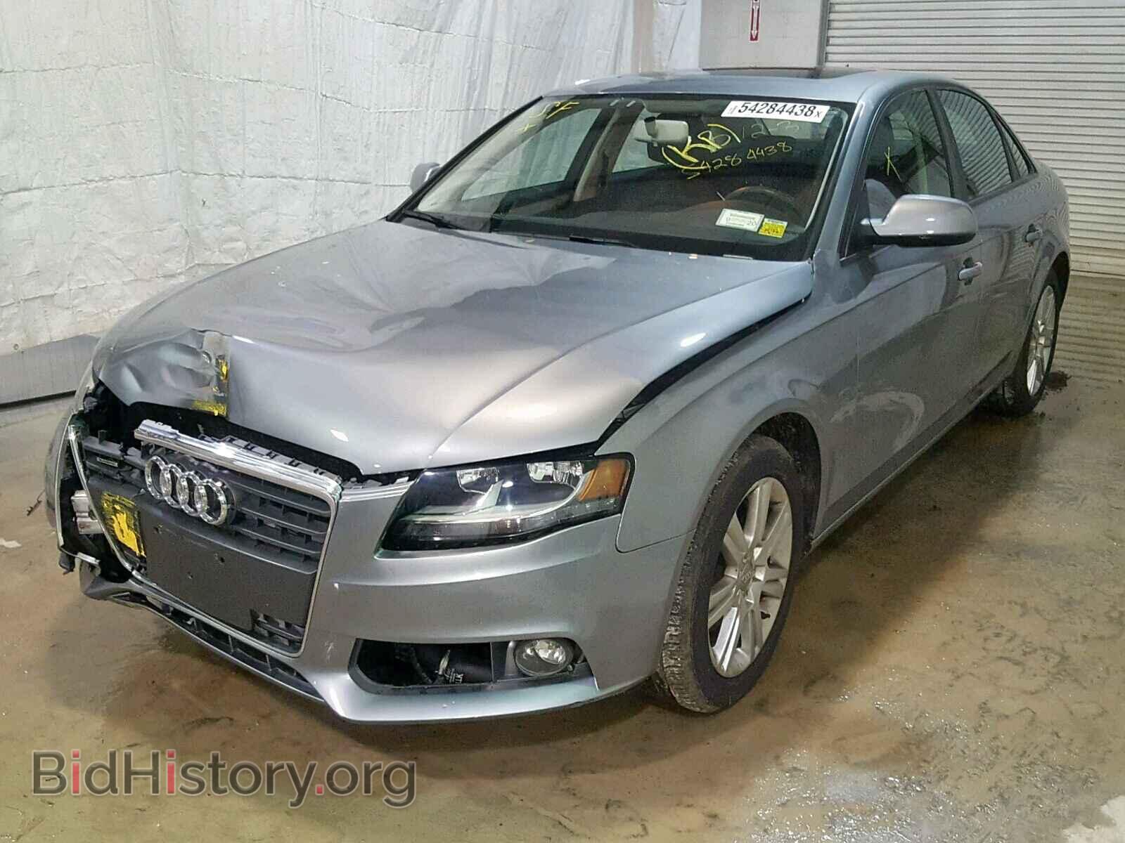 2010 AUDI A4 - VIN: WAUBFAFL0AN006199 - Фото 2