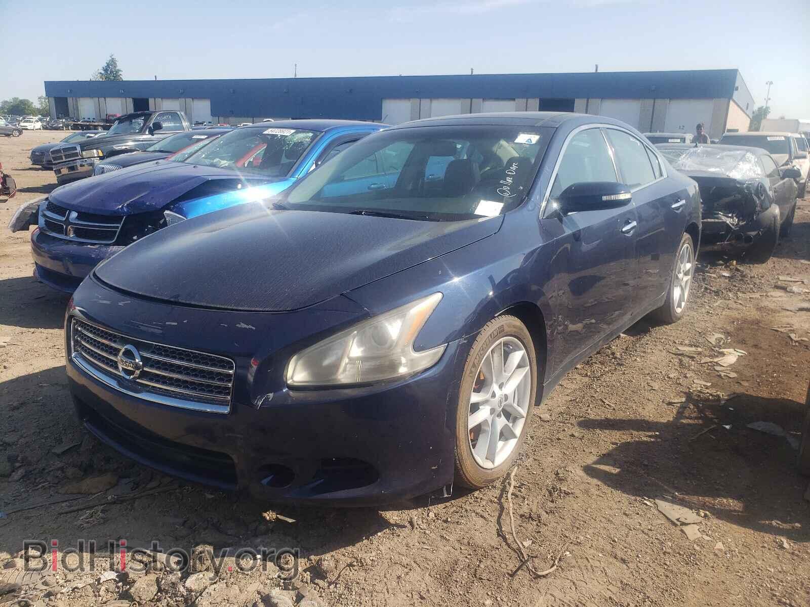 2010 NISSAN MAXIMA - VIN: 1N4AA5AP2AC833525 - Фото 2