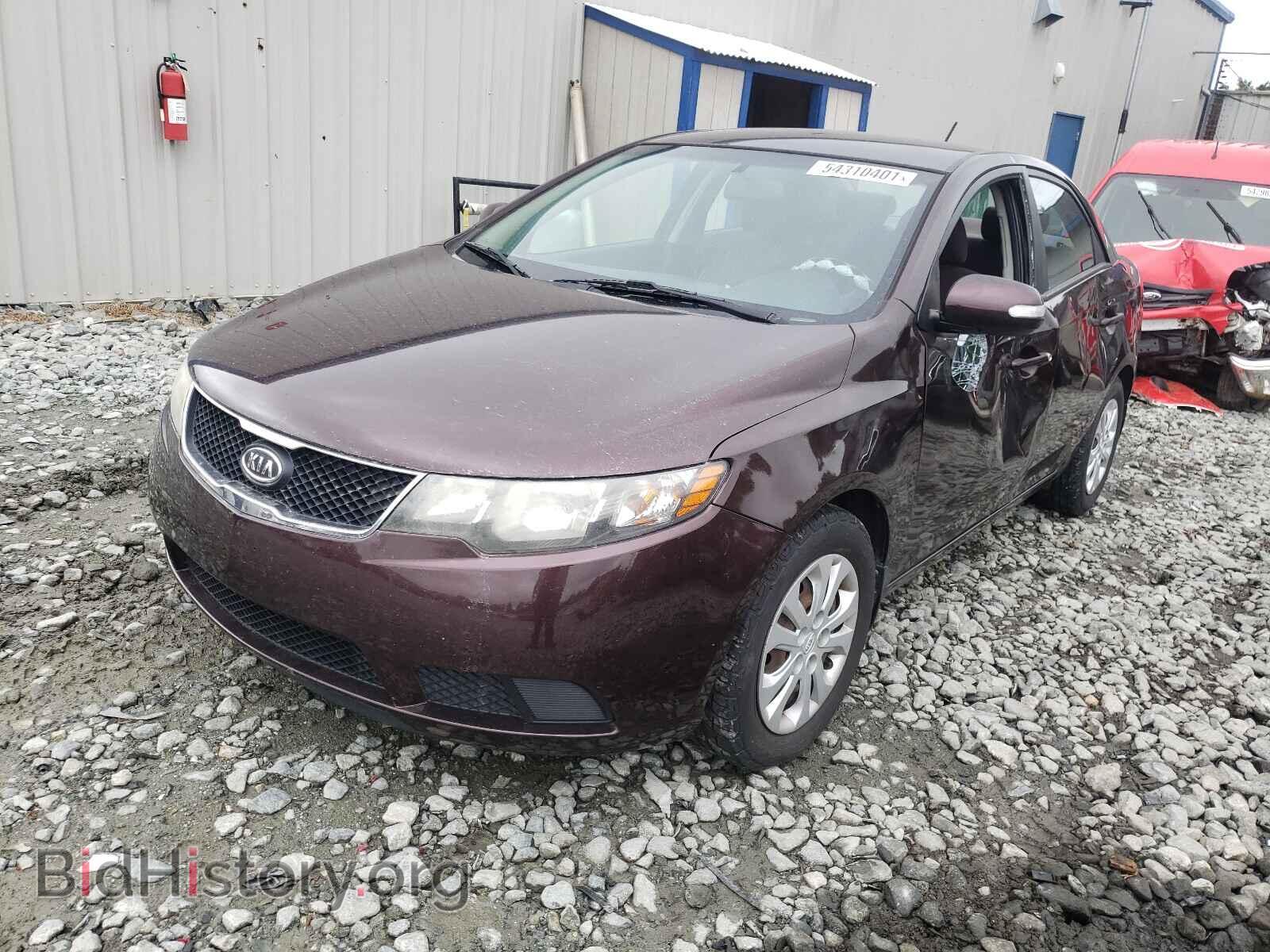 2010 KIA FORTE - VIN: KNAFU4A20A5221007 - Фото 2