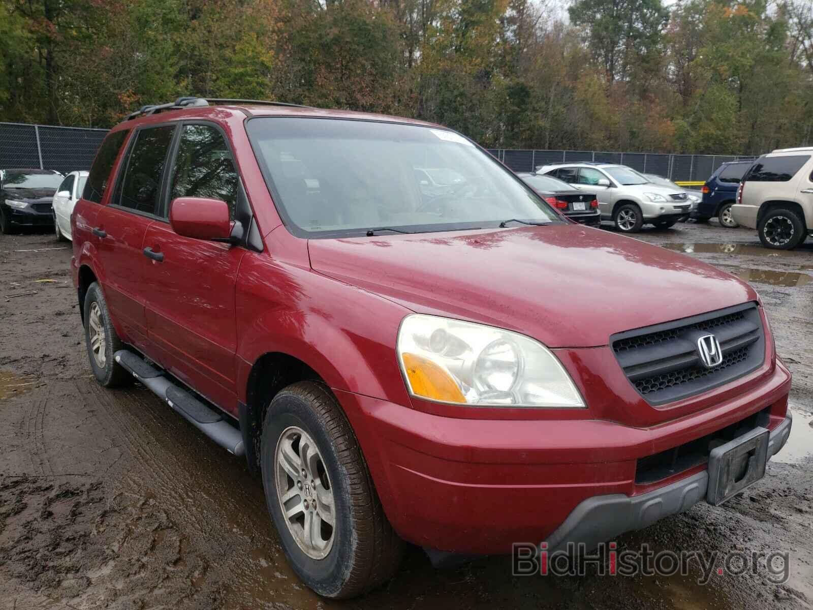 Photo 5FNYF18575B026630 - HONDA PILOT 2005