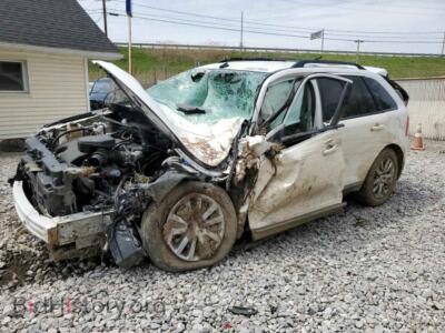 2013 Ford EDGE SEL, white — VIN 2FMDK4JC2DBA89520, Copart