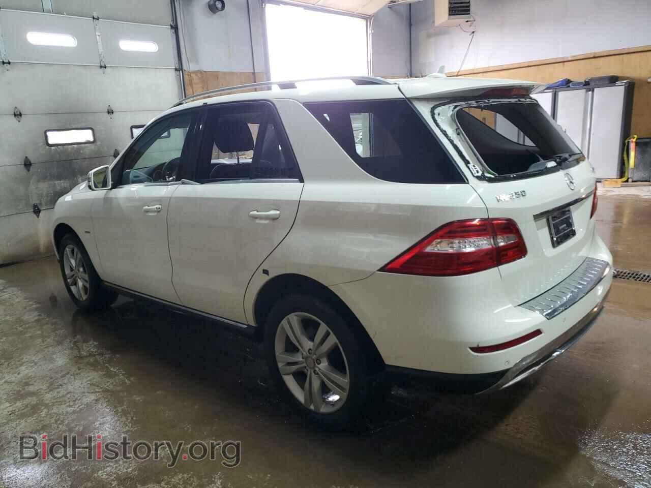 2012 MERCEDES-BENZ M-CLASS - VIN: 4JGDA5HB9CA013647 - Фото 2