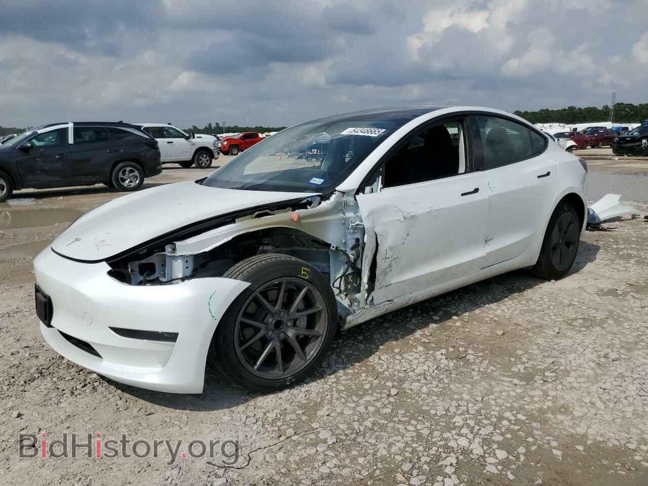 Photo 5YJ3E1EA4PF547466 - TESLA MODEL 3 2023