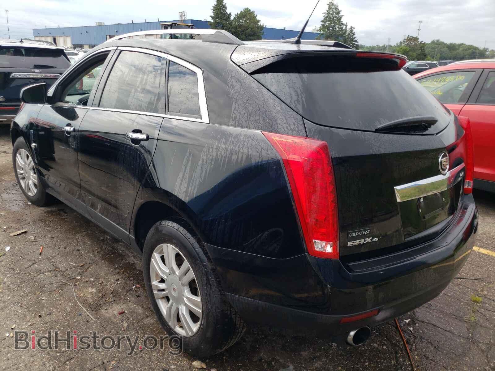 2010 CADILLAC SRX - VIN: 3GYFNDEY9AS654162 - Фото 3