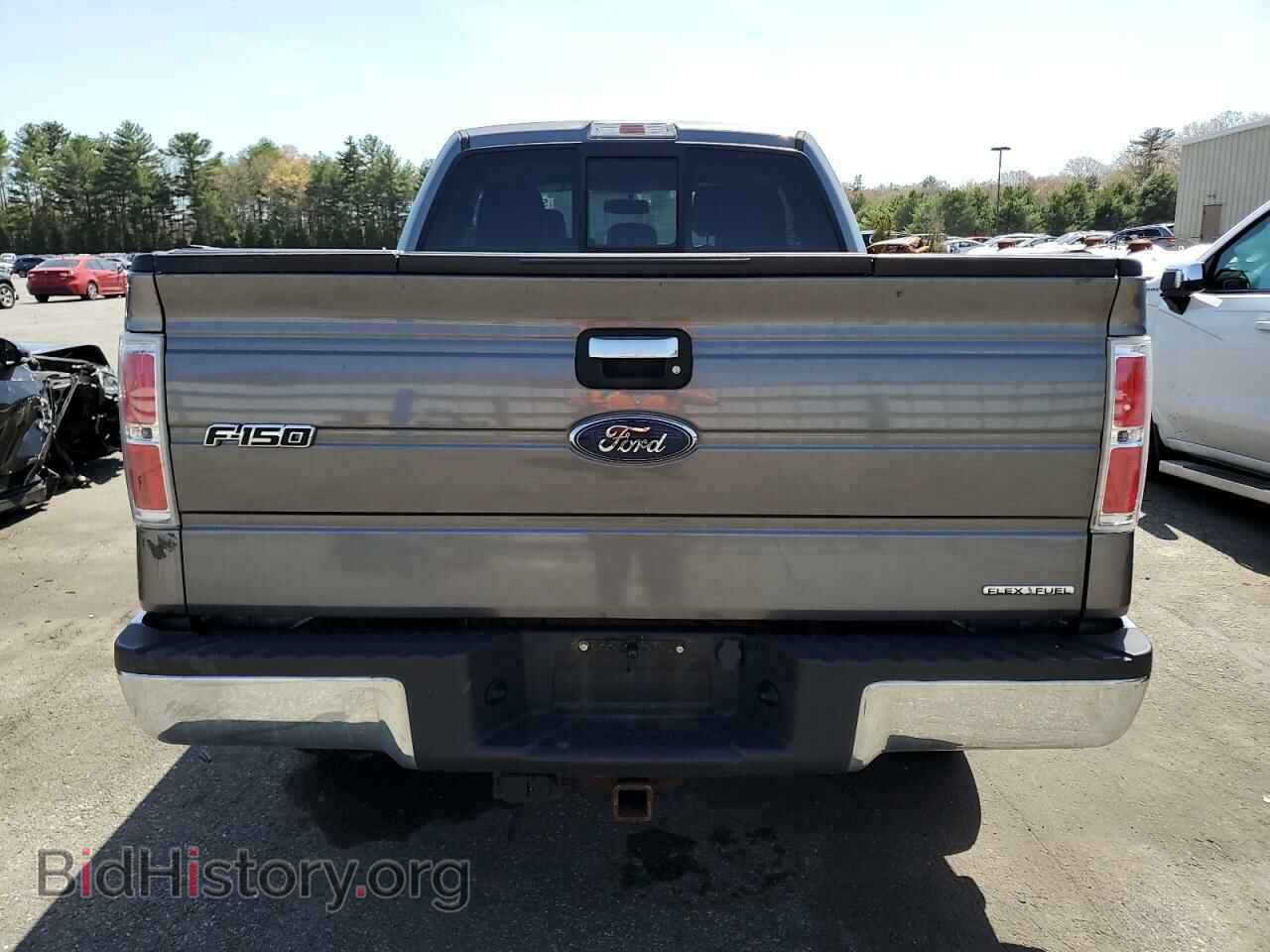 2013 FORD F-150 - VIN: 1FTFX1EF1DFC37818 - Фото 6