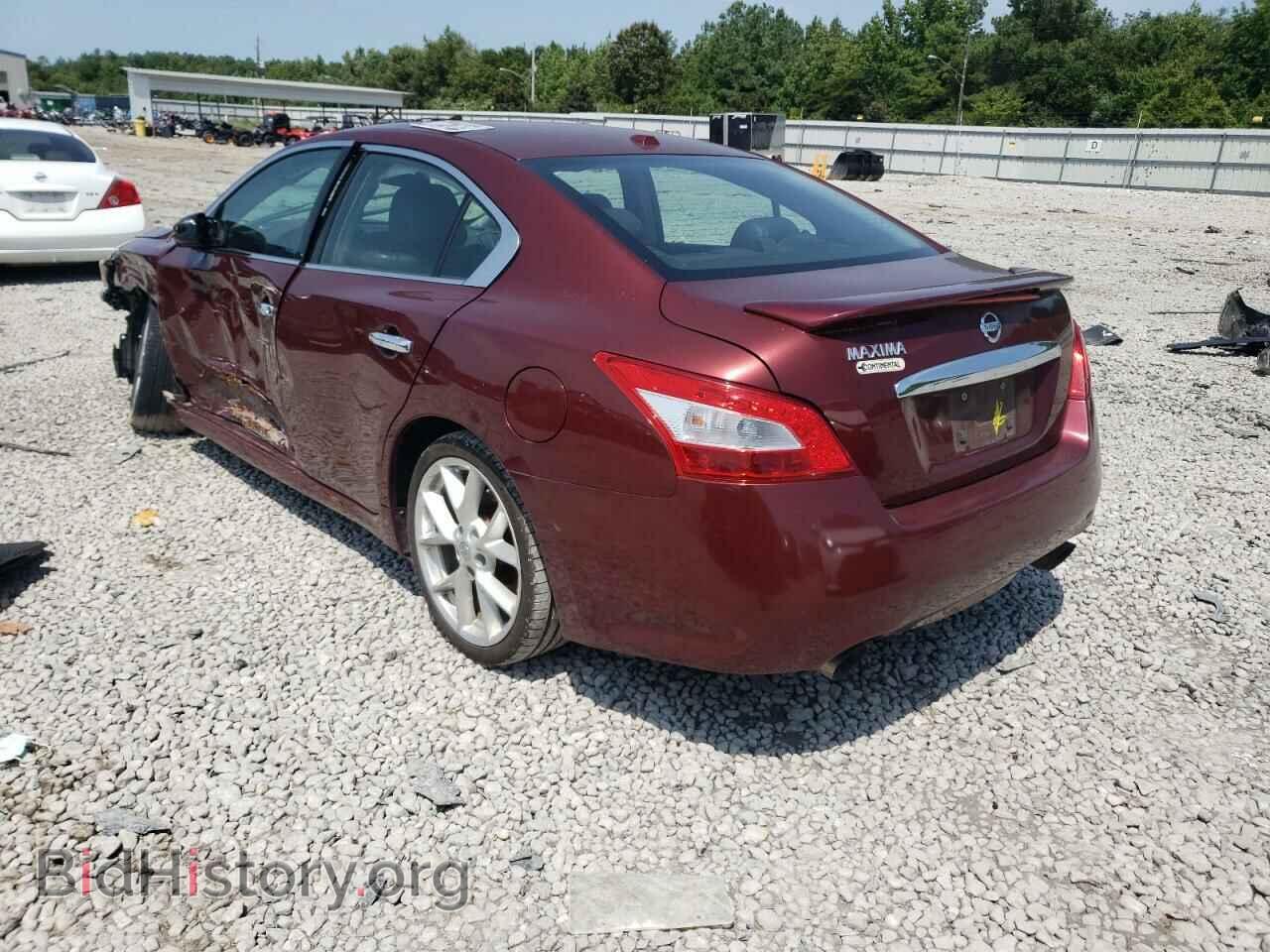 2010 NISSAN MAXIMA - VIN: 1N4AA5AP1AC800516 - Фото 3