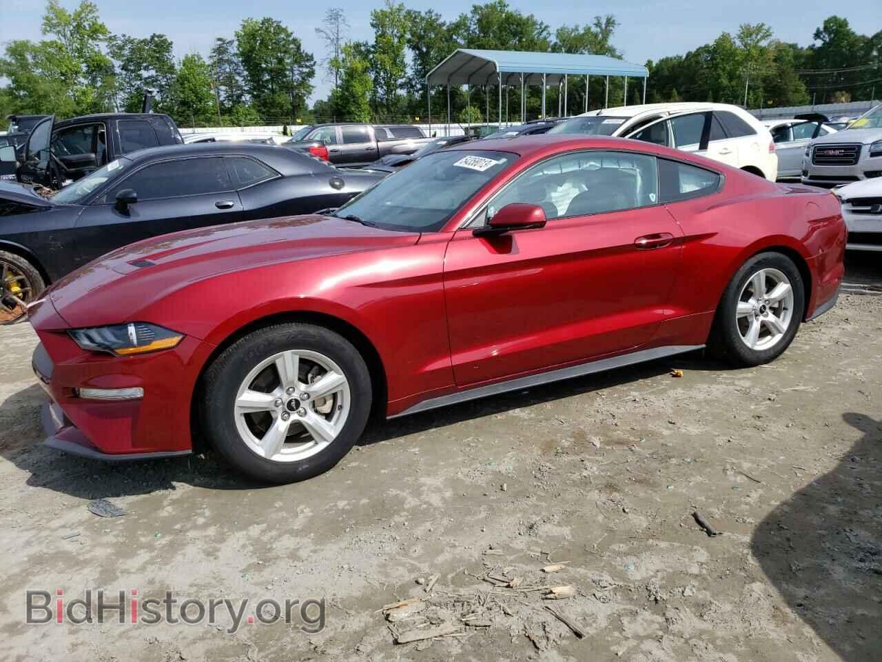Фотография 1FA6P8TH7K5166646 - FORD ALL Models 2019