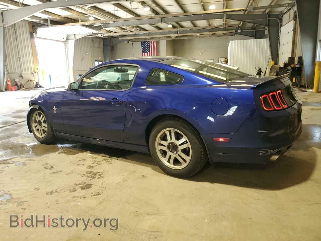 2013 FORD ALL Models - VIN: 1ZVBP8AM3D5268891 - Фото 2
