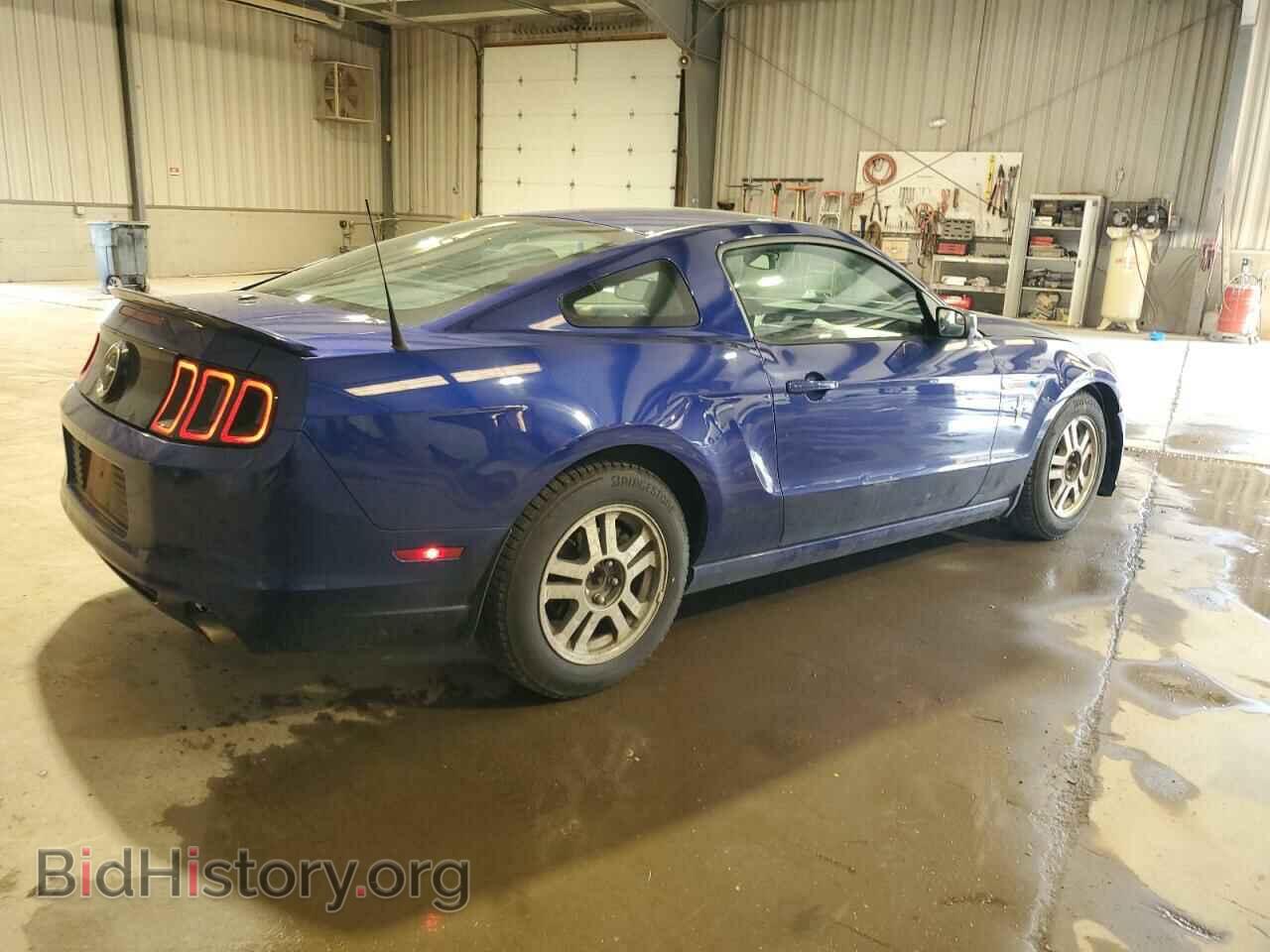 2013 FORD ALL Models - VIN: 1ZVBP8AM3D5268891 - Фото 3