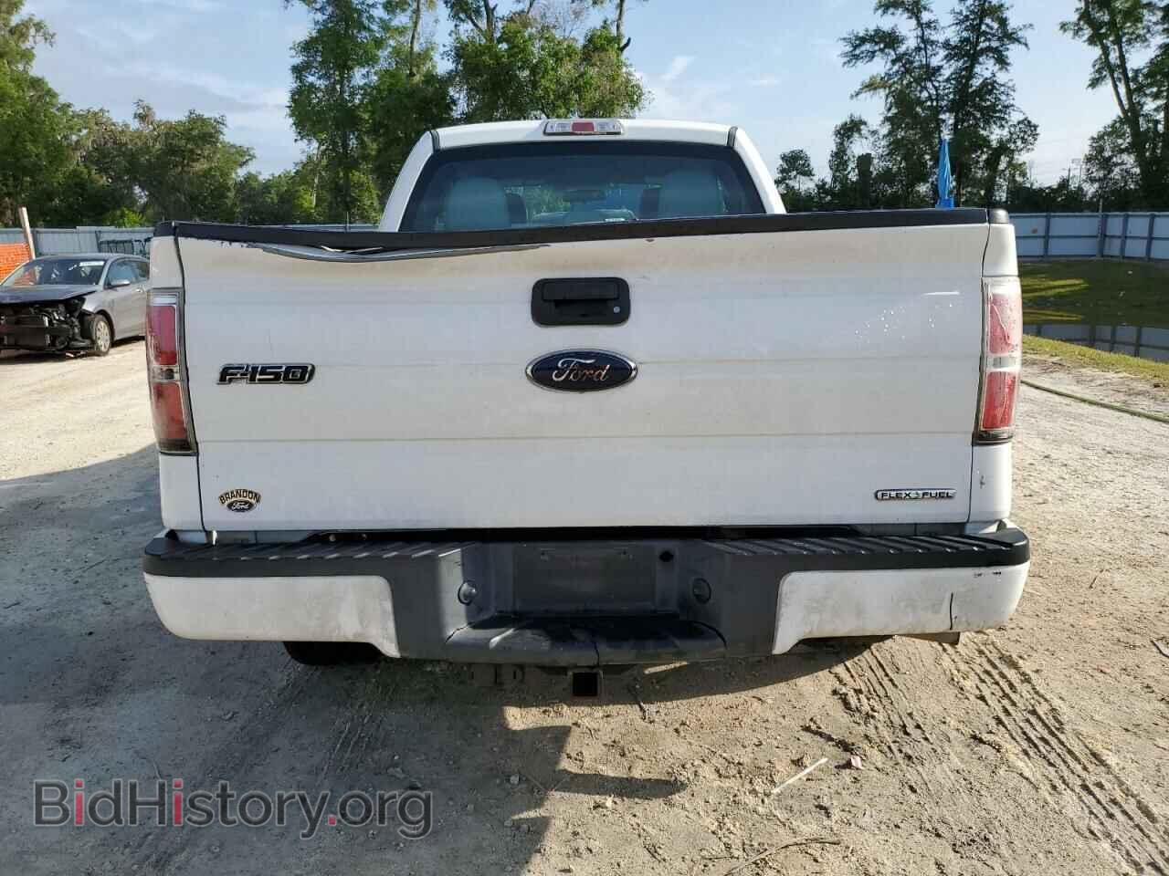 2013 FORD F-150 - VIN: 1FTFX1CF4DKE26666 - Фото 6
