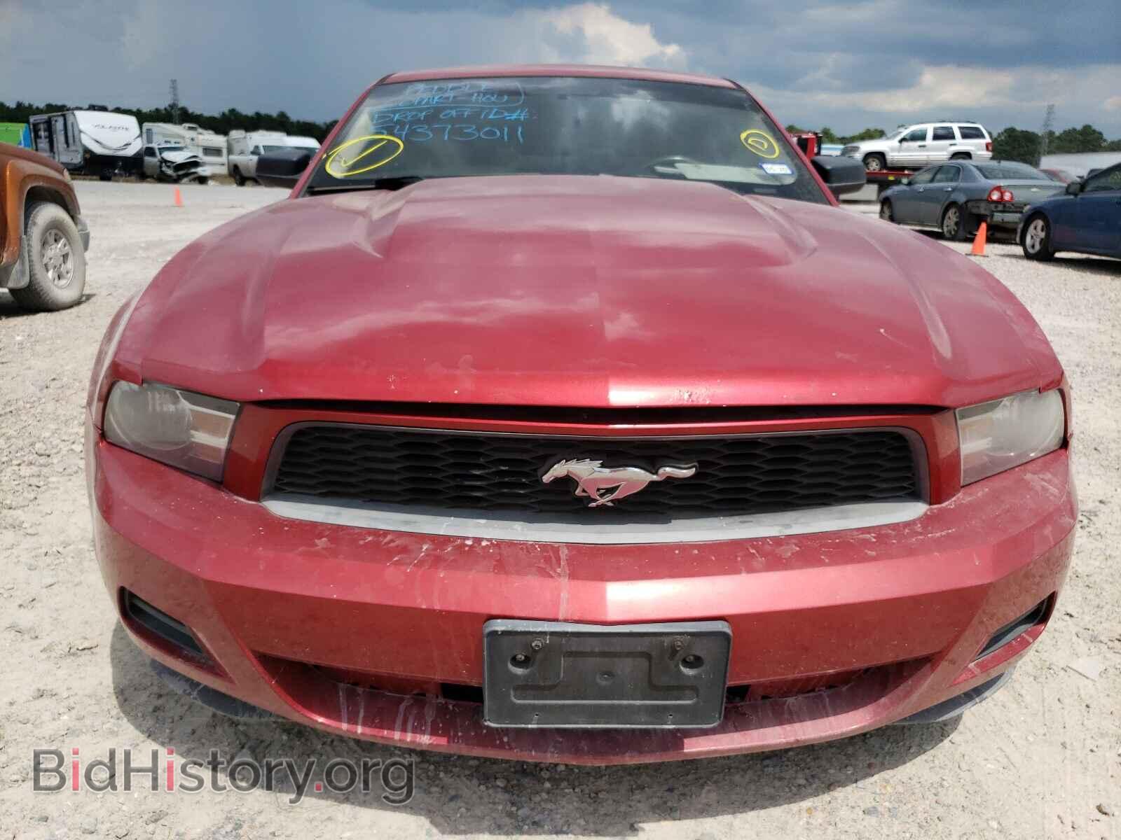2010 FORD MUSTANG - VIN: 1ZVBP8AN4A5125534 - Фото 9
