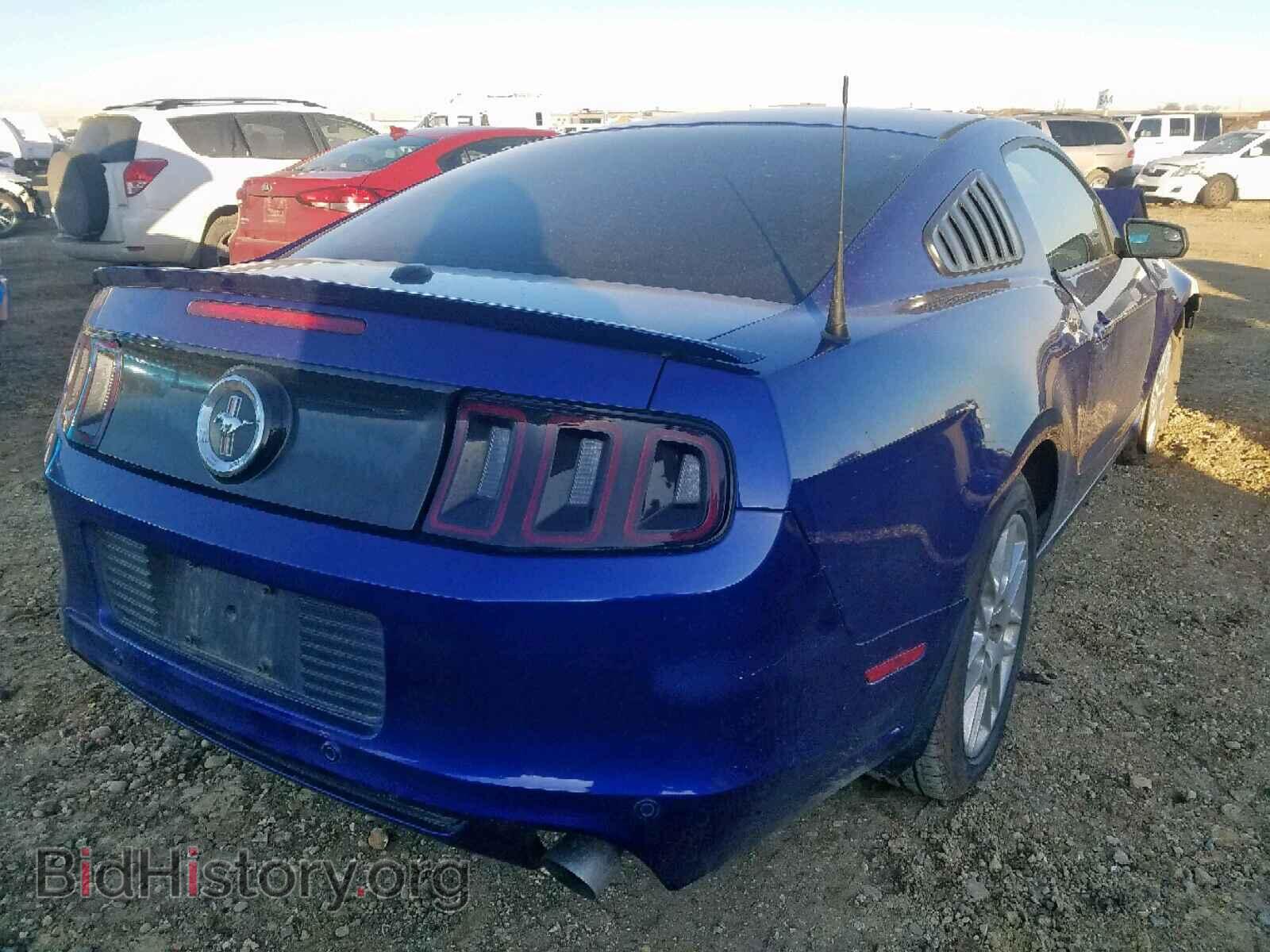 2013 FORD MUSTANG - VIN: 1ZVBP8AM4D5207033 - Фото 4