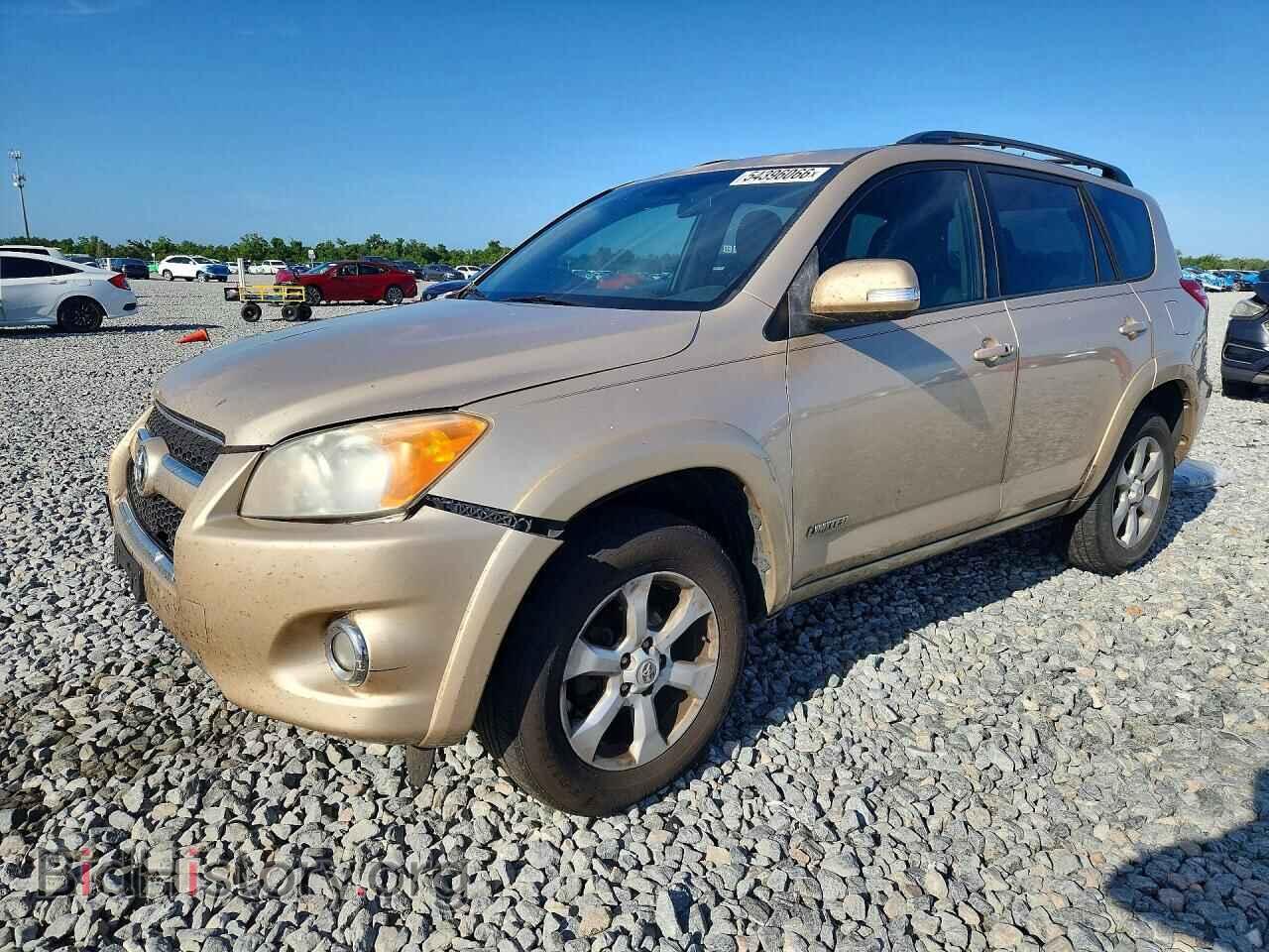 Фотография 2T3YF4DV4CW107258 - TOYOTA RAV4 2012