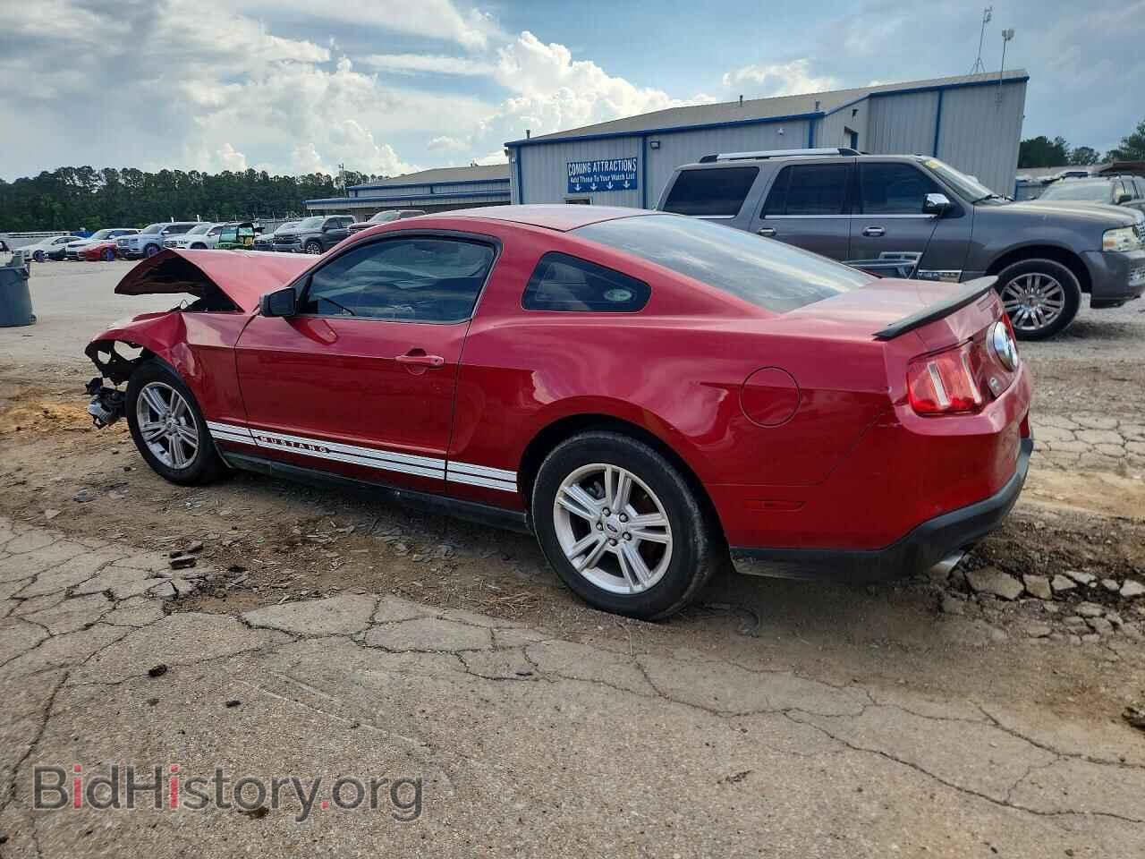 2011 FORD MUSTANG - VIN: 1ZVBP8AM7B5135452 - Фото 2