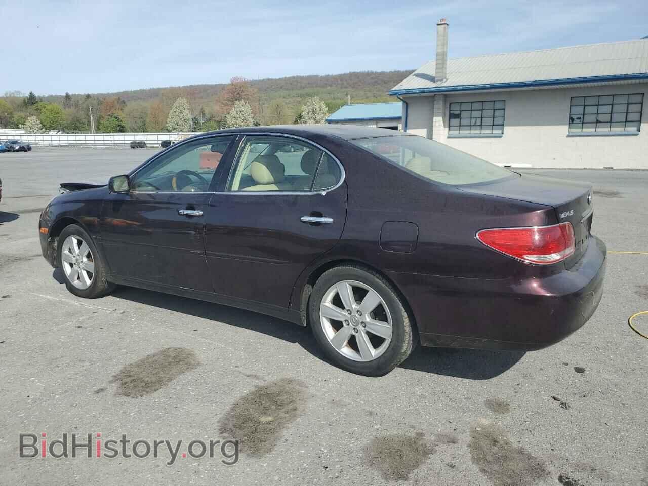 2005 LEXUS ES330 - VIN: JTHBA30G355096669 - Фото 2