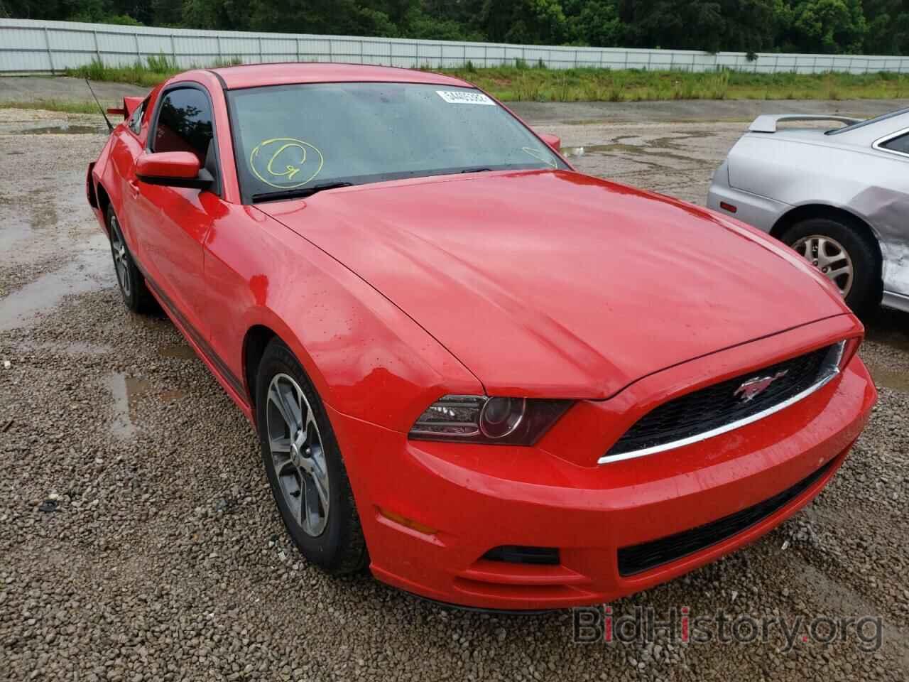 Photo 1ZVBP8AM9E5201682 - FORD MUSTANG 2014