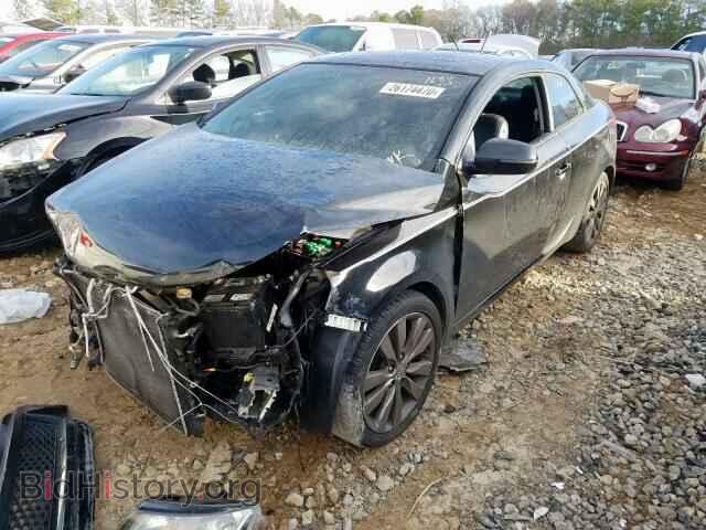2013 KIA FORTE - VIN: KNAFW6A37D5651684 - Фото 2