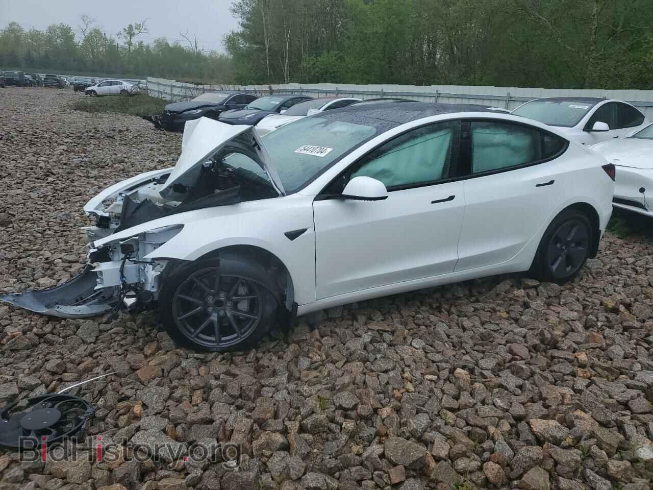 Photo 5YJ3E1EA3PF680154 - TESLA MODEL 3 2023