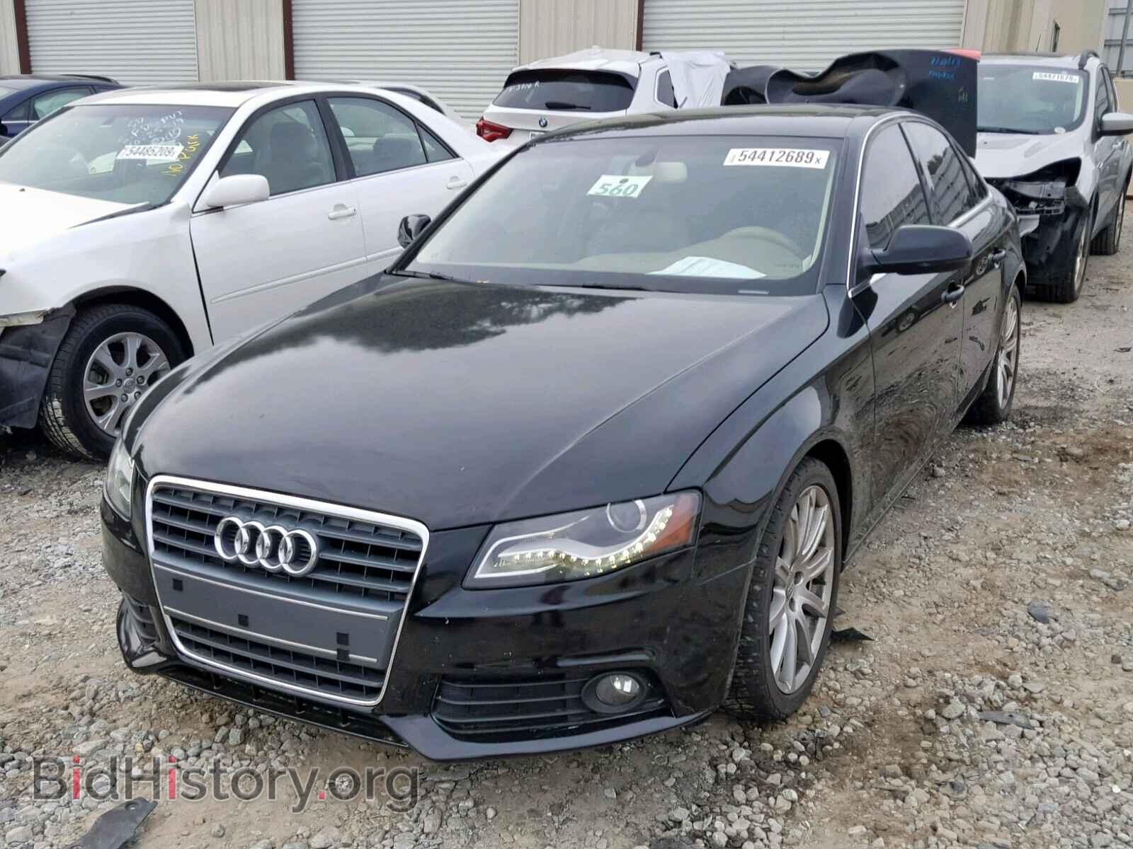 2010 AUDI A4 - VIN: WAUEFAFL3AN056673 - Фото 2