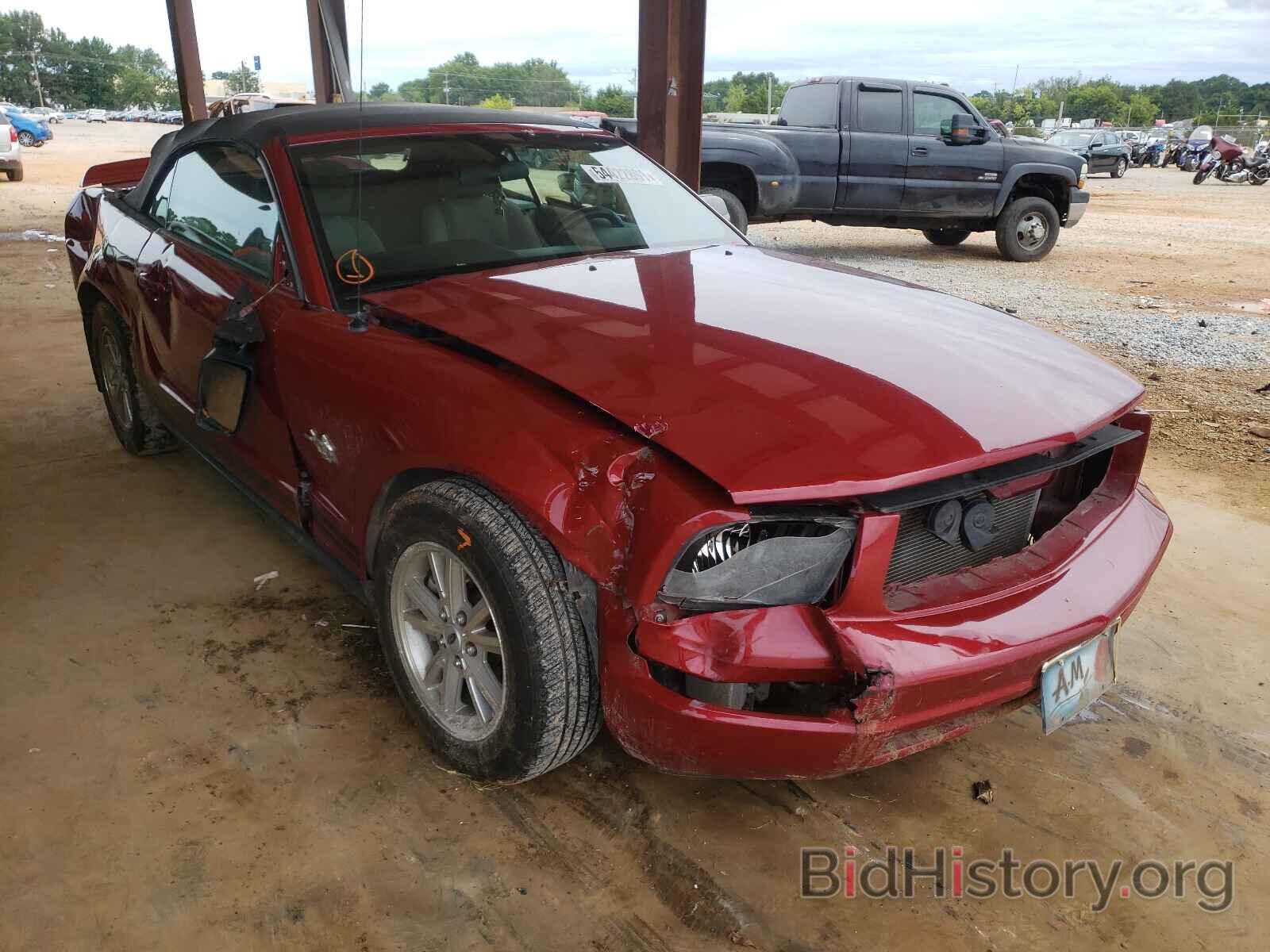 Photo 1ZVHT84NX95125440 - FORD MUSTANG 2009