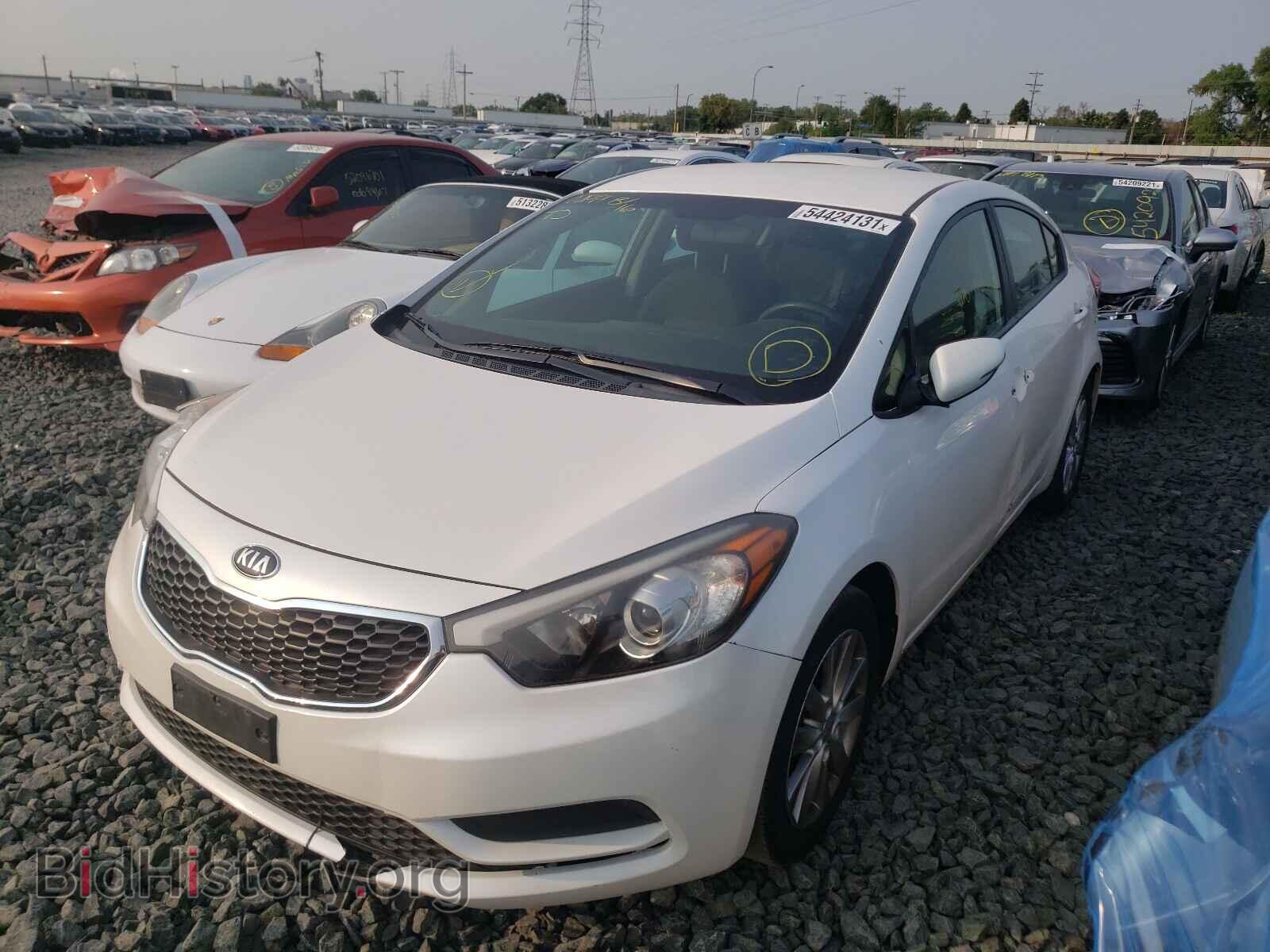 2014 KIA FORTE - VIN: KNAFX4A69E5126705 - Фото 2