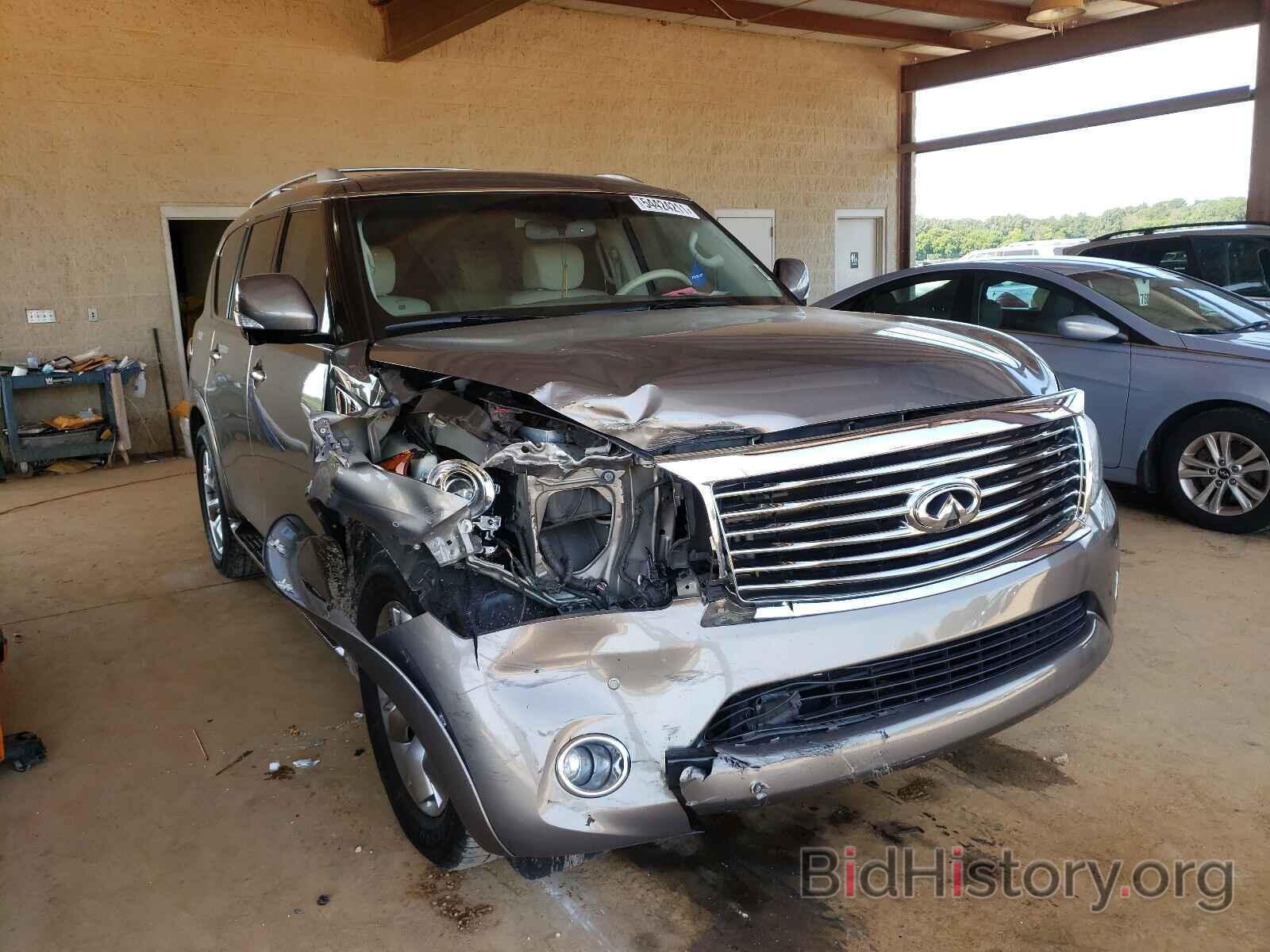 Photo JN8AZ2NF5D9530893 - INFINITI QX56 2013