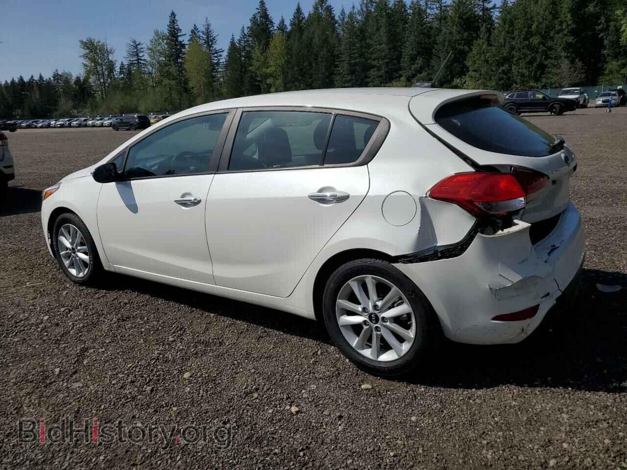 2017 KIA FORTE - VIN: KNAFK5A87H5677273 - Фото 2
