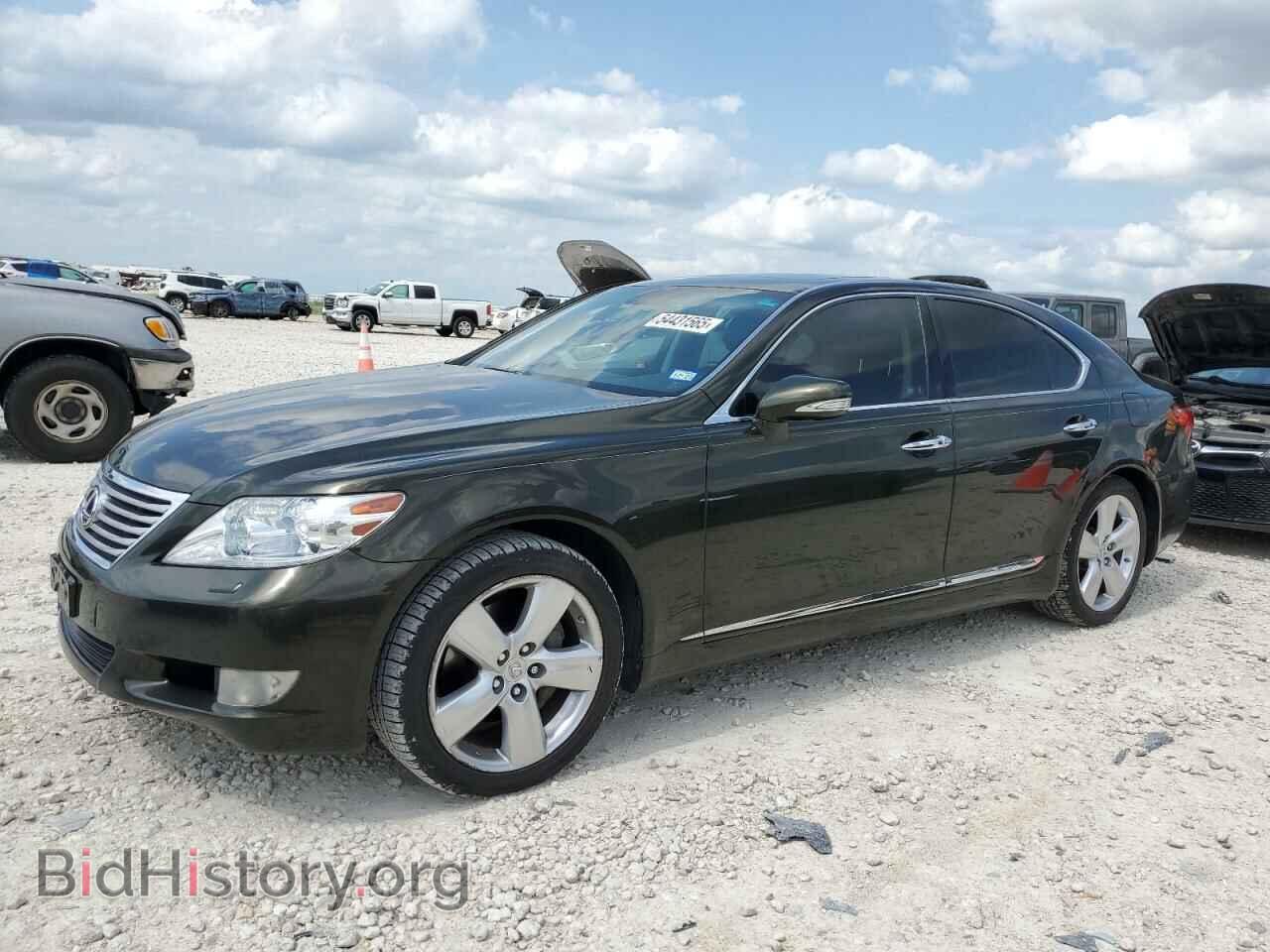 Фотография JTHBL5EF1A5097531 - LEXUS LS460 2010