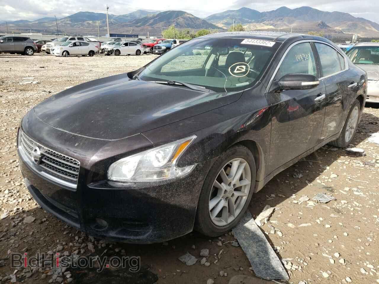 2010 NISSAN MAXIMA - VIN: 1N4AA5AP6AC863143 - Фото 2